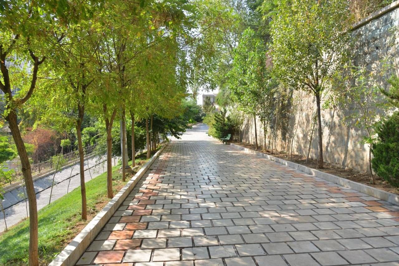 برگزاری نهضت پیاده‌رو و نهرسازی در منطقه یک