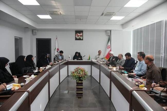 نشست هم‌اندیشی شورای مشاوران وزرا در امور ایثارگران برگزار شد