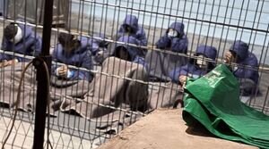 زندانی که هر ۴ روز یک تجاوز جنسی منجر به مرگ دارد