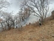 ادامه عملیات مهار آتش‌سوزی گسترده در جنگل‌های الیت