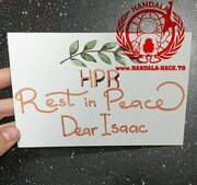 دسته‌گل حنظله در صندوق عقب دانشمند صهیونیست+ عکس