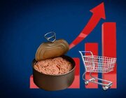 تن ماهی در آستانه حذف از سبد غذایی