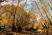 عکس/ طبیعت پاییزی طارم در استان زنجان