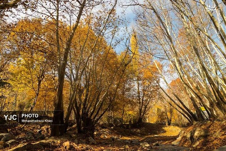 عکس/ طبیعت پاییزی طارم در استان زنجان
