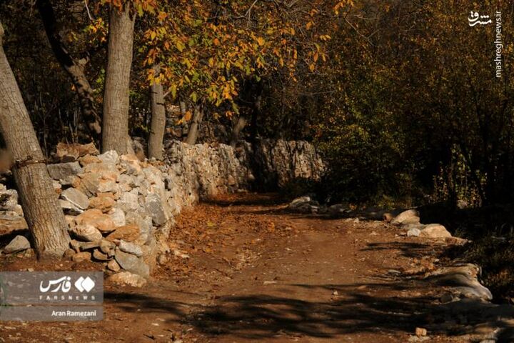 عکس/ پاوه زیر چتر رنگ‌های پاییزی