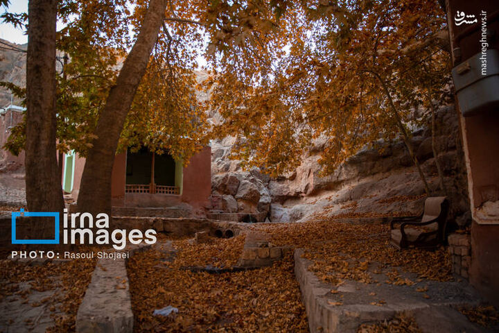 عکس/ پاییز بی‌عابر ابیانه