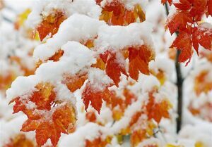 برف و باران در ۲۳ استان