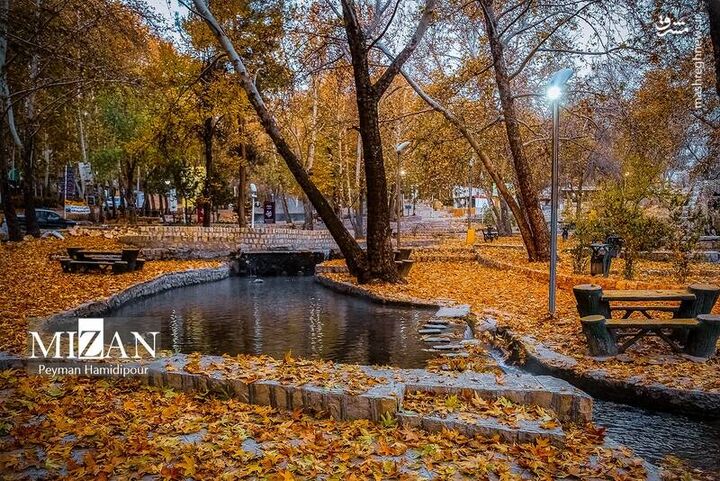 عکس/ طبیعت پاییزی در پارک بابا امان بجنورد