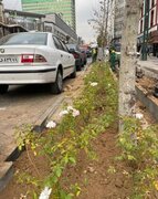 آراستگی فضای شهری و تفکیک مسیر آب‌های آلوده و سطحی