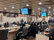 اردبیلی: بدون کار فرهنگی و مردمی، بحران جمعیت حل نمی‌شود