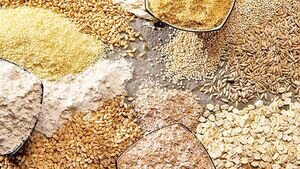 کمبود نهاده نداریم، مسئله اصلی تأمین سرمایه در گردش است