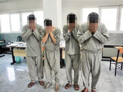 درآمد ۶۰ میلیاردی دزدان خانه