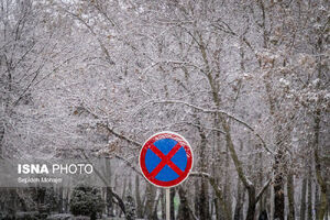 برف و باران برای امروز و فردا