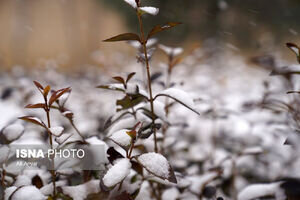 تداوم روند کاهش دما و بارش در کشور