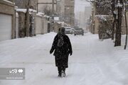 عکس/ اردبیل در آغوش برف سنگین