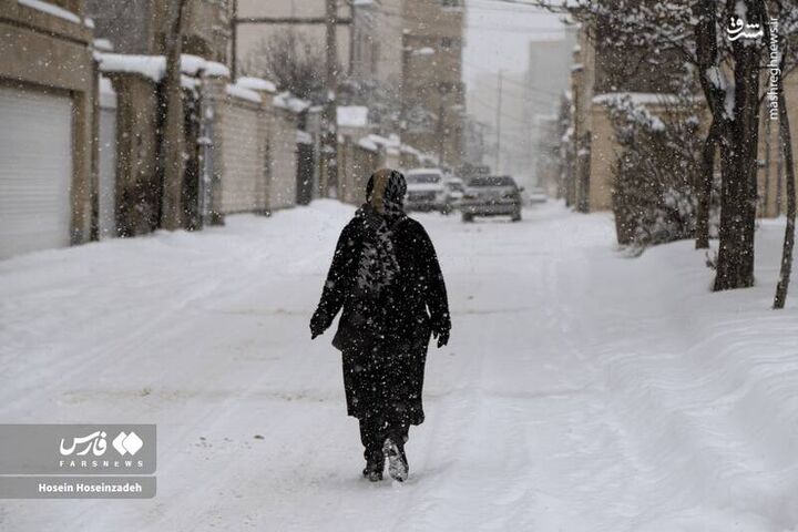 عکس/ اردبیل در آغوش برف سنگین