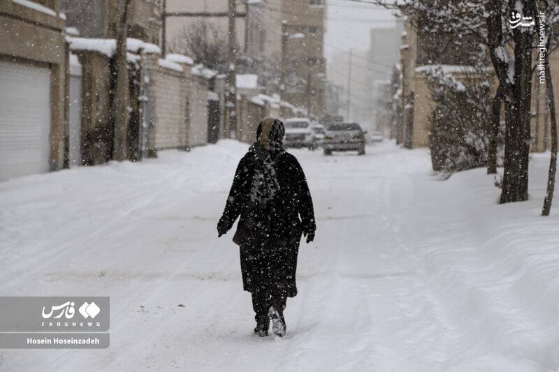 عکس/ اردبیل در آغوش برف سنگین