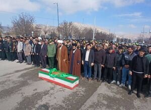 عامل شهادت آرمین عباسی دستگیر شد