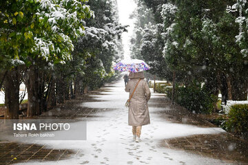 عکس/ بارش برف در شیراز پس از ۱۲ سال