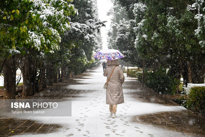 عکس/ بارش برف در شیراز پس از ۱۲ سال