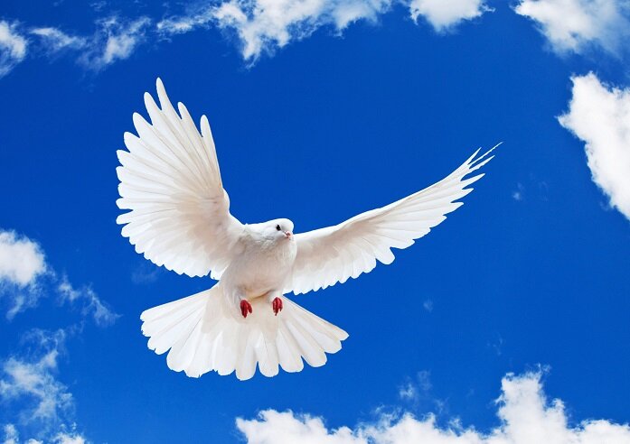 پدر شهید «غلامعباس آتش آب پرور» آسمانی شد