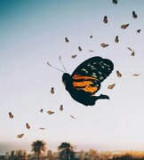 کارگردان «رهایی از پیله»: این نمایش روایتی از زندگی جانباز اعصاب و روان جنگ است