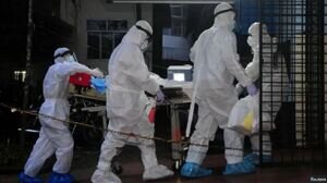 ویروس «نیپا» چیست و چقدر باید نگران آن باشیم