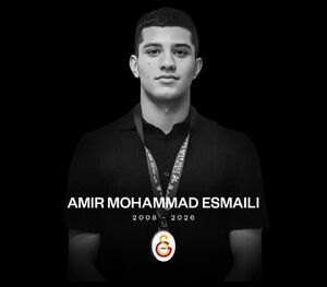 ملی‌پوش جوان واترپلوی ایران درگذشت