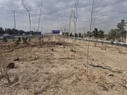 اجرای طرح جنگلکاری در حاشیه بزرگراه تهران–قم با کاشت ۱۵۰۰ اصله درخت