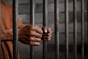 آمار تروریستهای انتقال یافته از سوریه به عراق