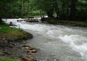 رشد ۱۴درصدی ورودی آب به سدهای کشور