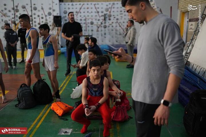 عکس/ المپیاد استعدادهای برتر- "ژیمناستیک"