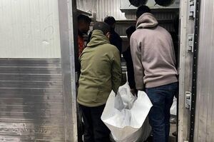 ۶۰۱ شهید در غزه از زمان برقراری آتش‌بس