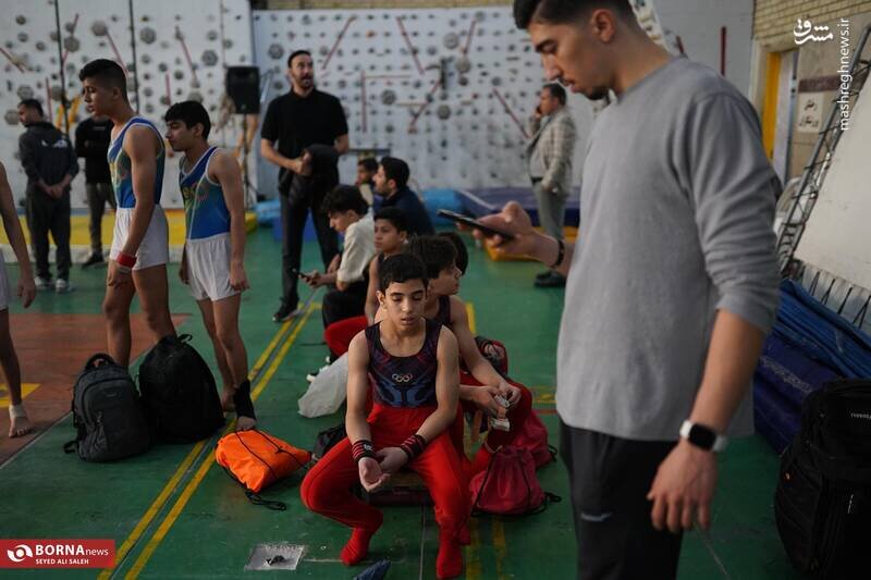 عکس/ المپیاد استعدادهای برتر- "ژیمناستیک"