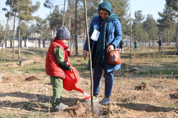 کاشت ۲۴ هزار نهال در بوستان جنگلی سرخه حصار