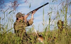 ۴۰ سال حبس برای سه شکارچی حیات‌وحش