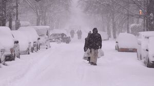 قطعی برق ۱۰۰ هزار خانه و لغو ۱۰ هزار پرواز در آمریکا