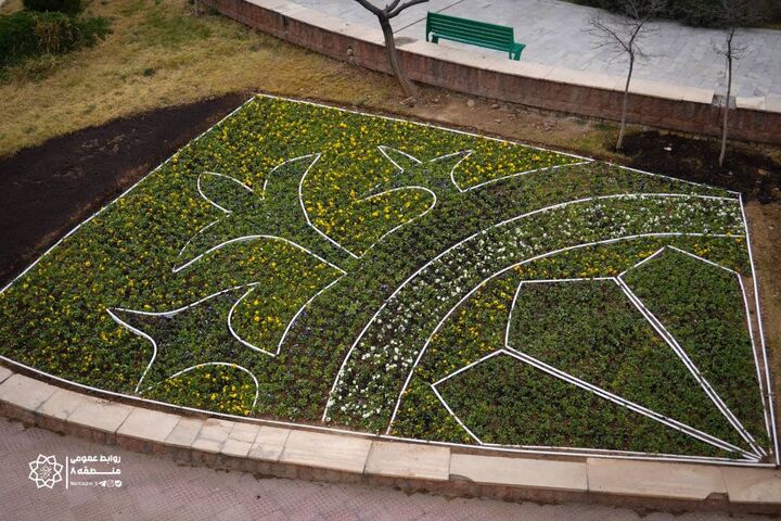 پاکسازی و ساماندهی فضاهای شهری در منطقه ۸