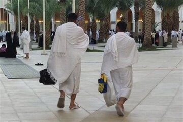 تشریح نحوه اعزام حجاج به مدینه و مکه