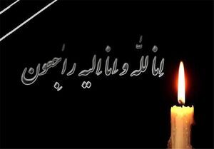 ۴ رزمی کار به شهادت رسیدند +عکس