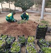 اجرای برنامه‌های متنوع به‌زراعی در معابر و محلات‌