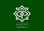 وزارت اطلاعات: سرکرده ‌یک گروهک تروریستی تجزیه‌طلب بازداشت شد