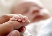 شهادت ۲۲۳ زن که سه نفر از آنان مادر باردار بوده‌اند
