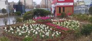اجرای فرش گل و کاشت صدها گلدان از گلهای فصلی در میادین و معابر