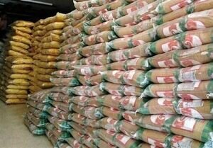 نگران تامین برنج در کشور نیستیم