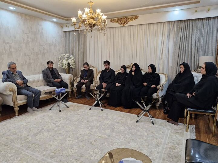 دیدار مدیرکل تسهیلات بنیاد شهید و امور ایثارگران با خانواده شهید امیر امیرمحمدی