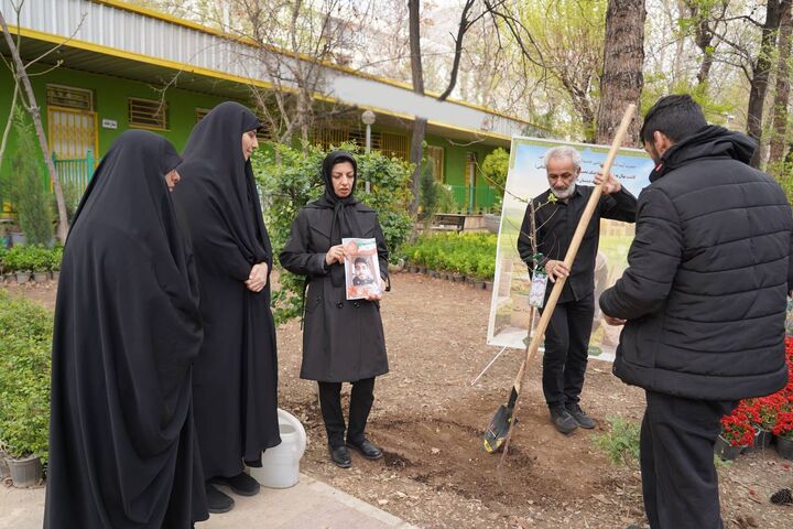 کاشت نهال یادبود شهید علیرضا لواسانی در بوستان تمدن همزمان با روز طبیعت