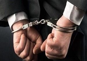 مهمان جاسوس در تهران شناسایی و بازداشت شد