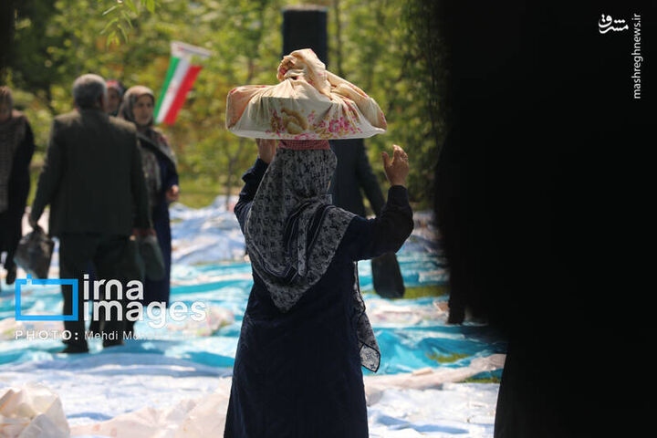 عکس/ عید مردگان در مازندران