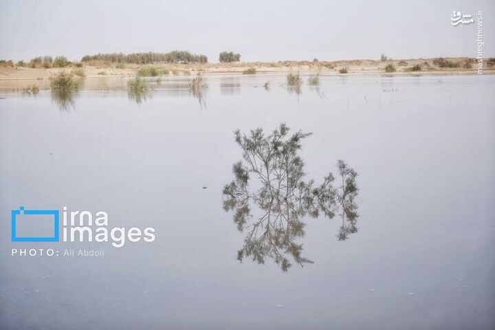 عکس/ ورودی آب به منطقه سیستان پس از سال‌ها خشکسالی